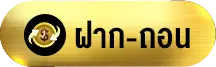 ฝาก-ถอน-spacex11
