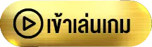 เข้าเล่นเกม-spacex11